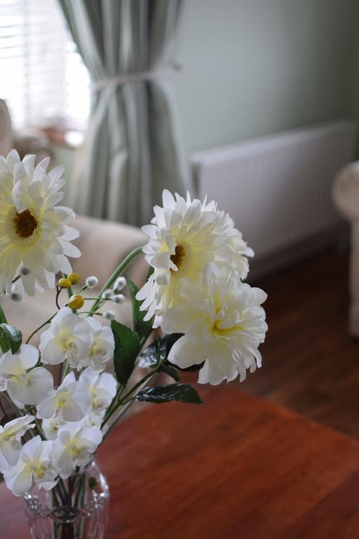 Fernhill House Tramore B&B Extérieur photo